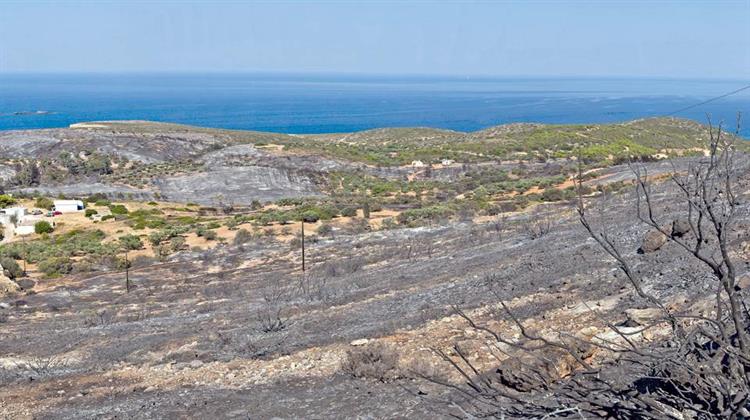 Κύθηρα: Τα Λάθη και οι Παραλείψεις της Επιχείρησης