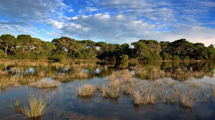 Εξαγορά Καταπατημένων και στις Natura