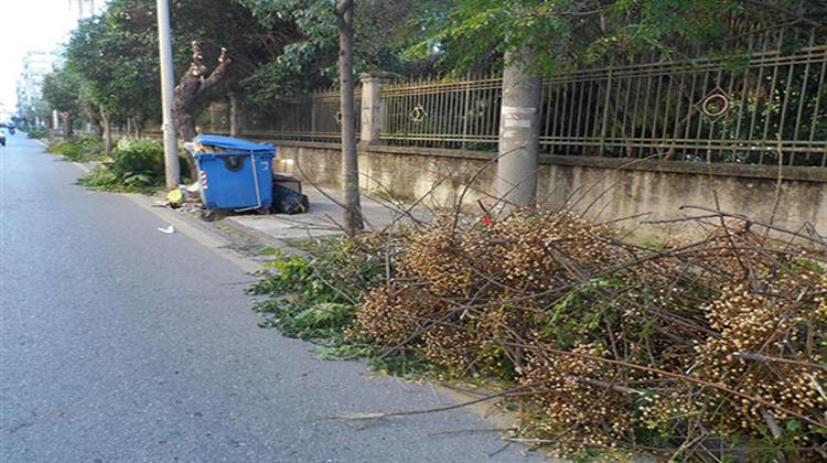 Πάνω από 3 Εκατ. Τόνοι το Χρόνο Από Κλαδέματα και Βιομάζα Μένουν Αναξιοποίητοι