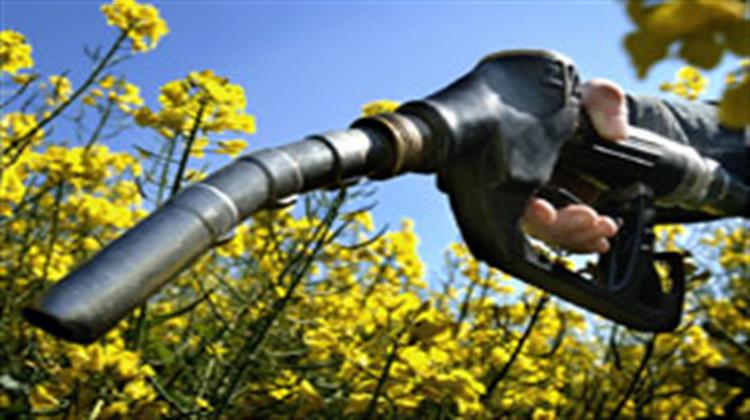 EU Biodiesel Cos To File Complaints Vs US To EU