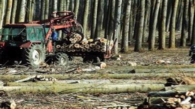 Oil Companies and Banks will Profit from UN Forest Protection Scheme