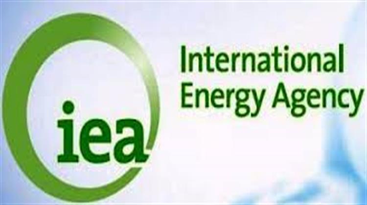 IENE Participated in IEA’s In-Depth Review of Greece’s Energy Policy