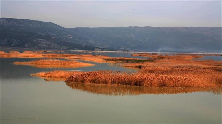 Αναγεννάται η Λίμνη Κάρλα- Ζωντανεύει το Κατεστραμμένο Οικολογικό Σύστημα της Θεσσαλίας