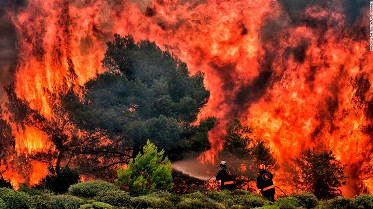 WWF: ‘Γιγαντιαίες Πυρκαγιές’ Απειλούν την Ευρώπη