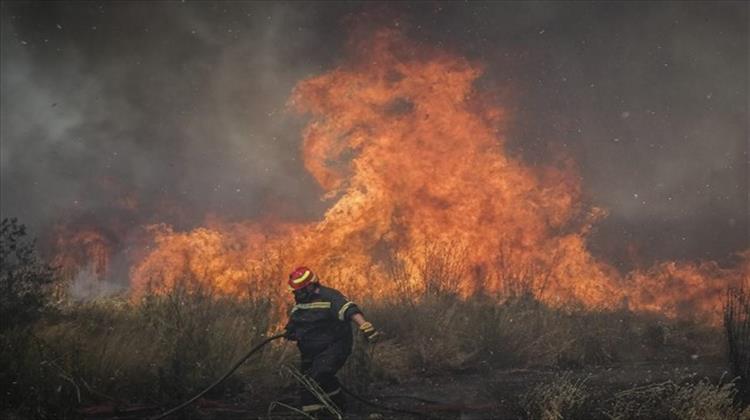 Τις Πυρόπληκτες Περιοχές της Εύβοιας θα Επισκεφθεί Αύριο ο Υπουργός Περιβάλλοντος και Ενέργειας