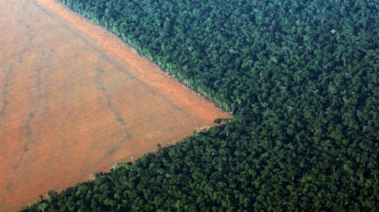Σύνοδο για την Κατάσταση στον Αμαζόνιο Ζητά ο ΓΓ του ΟΗΕ