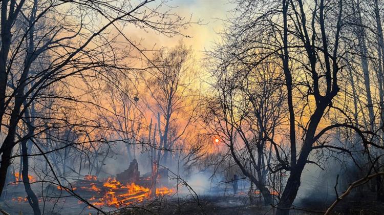 Αύξηση της Ραδιενέργειας Λόγω Φωτιάς σε Δάσος στο Τσερνόμπιλ