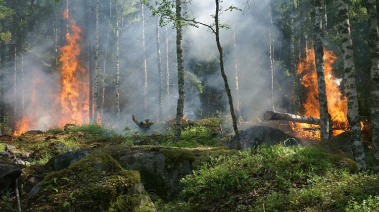 Chernobyl Forest Fires Rage for more than a Week, Radiation Pollution Possible