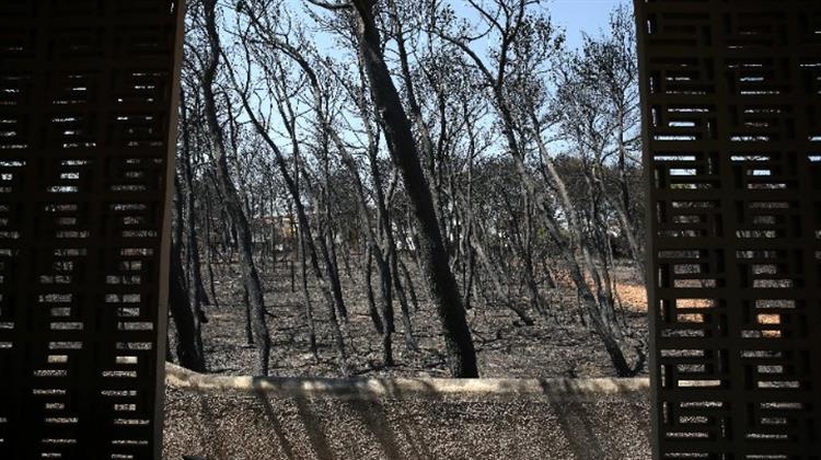 Μάτι: Δικαίωμα Διορισμού στο Δημόσιο για τους Βαριά Εγκαυματίες