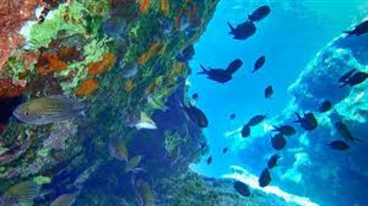 Σύγχρονες Προκλήσεις στο Θαλάσσιο Περιβάλλον της Ανατ. Μεσογείου