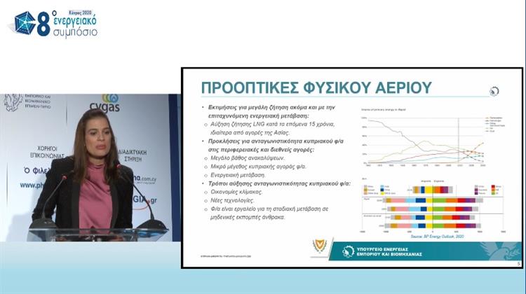 Ν. Πηλείδου: Προτεραιότητα της Λευκωσίας η Βέλτιστη Αξιοποίηση των Υδρογονανθράκων