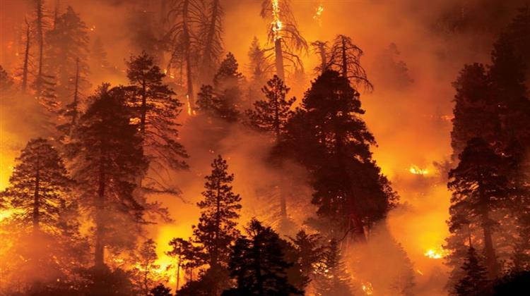 Οι Δασικές Πυρκαγιές Δεν Οφείλονται Μόνο στην Κλιματική Αλλαγή