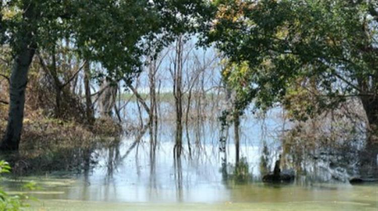 Νέα Σελίδα για τις Περιοχές Natura