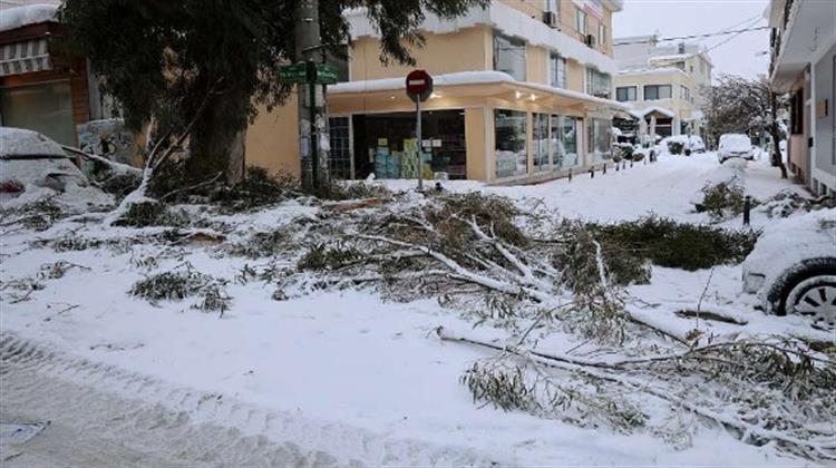 Ο ΔΕΔΔΗΕ Εφιστά την Προσοχή των Πολιτών για Πεσμένα Καλώδια και Κατεστραμμένους Στύλους