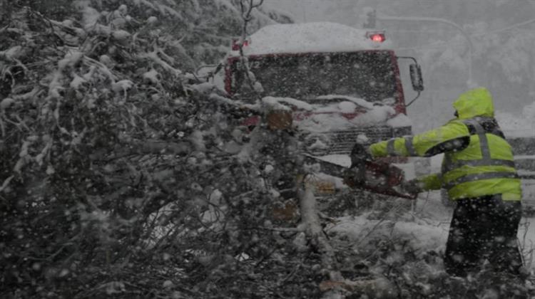 Το ΥΠΕΝ  Έστειλε 11 Συνεργεία Υλοτόμων για την Απόληψη Πεσμένων Δένδρων σε Περιοχές Άμεσης Ανάγκης