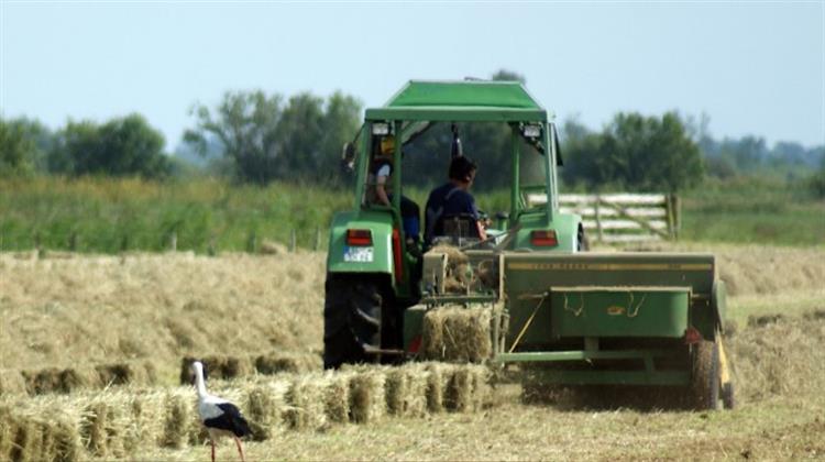 Γερμανός Υπουργός Γεωργίας: H Πράσινη Γεωργία «Κλειδί» για την Ανεξαρτησία από τη Ρωσία