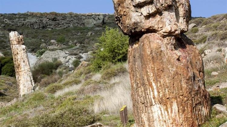 Από το Πανεπιστήμιο του Λονδίνου Μελετώντας τη Γεωποικιλότητα και τη Βιοποικιλότητα στο Γεωπάρκο Λέσβου