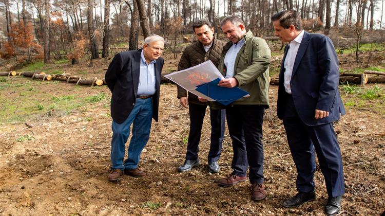 Ο Όμιλος ΕΛΛΗΝΙΚΑ ΠΕΤΡΕΛΑΙΑ Ολοκλήρωσε Κρίσιμα Αντιδιαβρωτικά Έργα   για την Αναγέννηση του Περιβάλλοντος, στη Βαρυμπόμπη