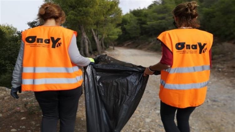 Με Δύτες, Εθελοντές Δασοπυροσβέστες και Μαθητές Καθαρίζουμε το Ρέμα της Πικροδάφνης από την Κορυφή του Υμηττού Μέχρι τον Σαρωνικό