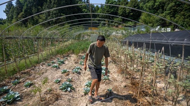 Κίνα: Εν Μέσω Πρωτόγνωρου Καύσωνα οι Αρχές Ανησυχούν για τις Σοδειές-Προσπάθεια για Πρόκληση Τεχνητών Βροχών