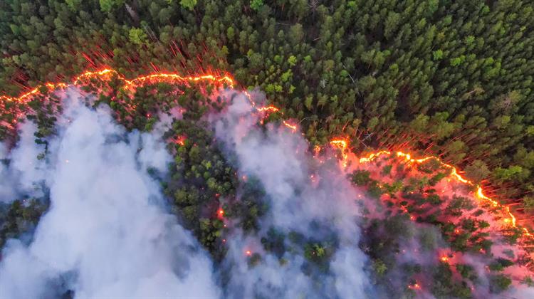 Πούτιν: «Δύσκολη Κατάσταση» για τη Ρωσία Δημιουργούν οι Δασικές Πυρκαγιές