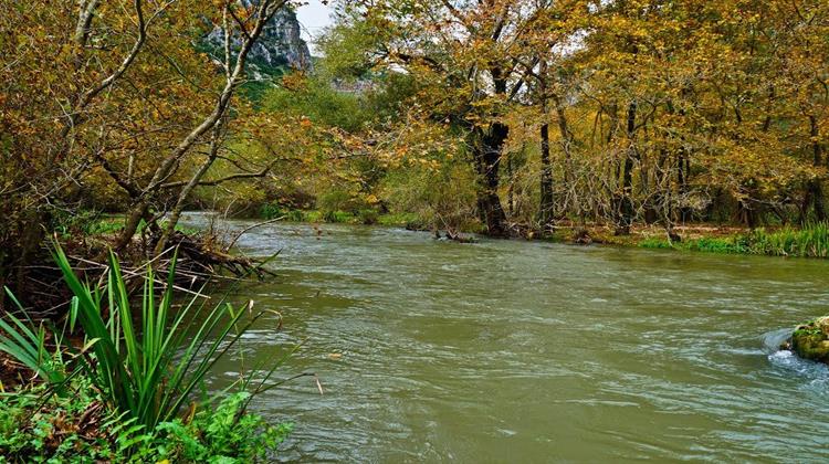 Άμεση Παρέμβαση των Υπηρεσιών του ΥΠΕΝ για τα Νεκρά Ψάρια στον Ποταμό Λούρο