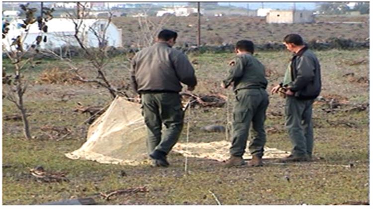 Συντονισμένες Δράσεις Δασαρχείων και Θηροφυλακής Κατά του Παράνομου Εμπορίου Άγριων Πτηνών