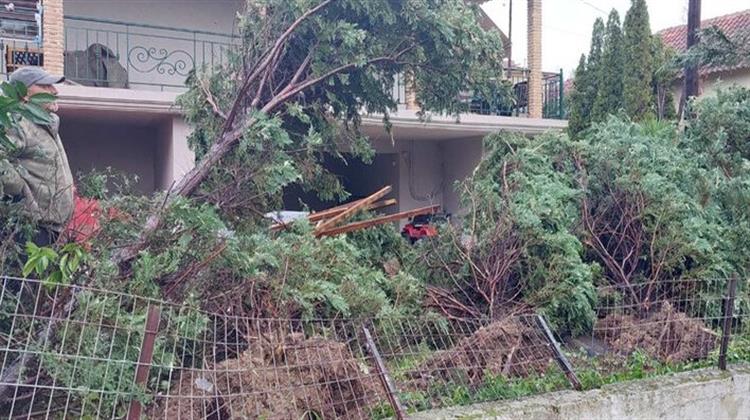 Παραμυθιά: Προβλήματα σε Ηλεκτροδότηση - Τηλεπικοινωνίες από Ανεμοστρόβιλο