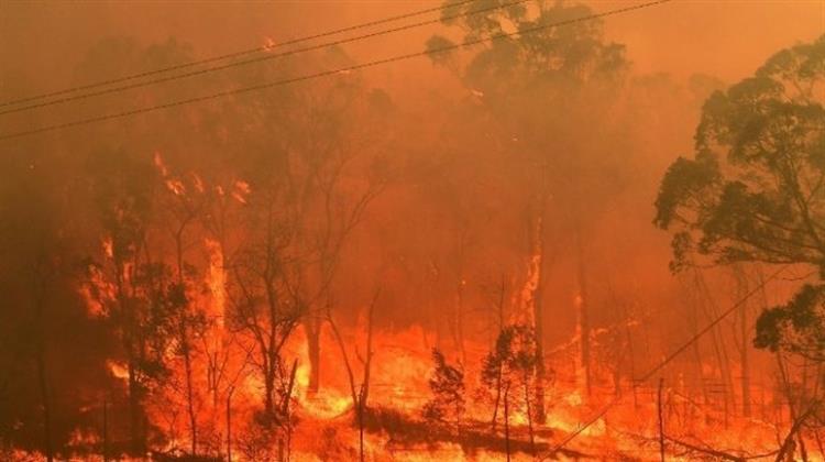 Πολύ Υψηλός Κίνδυνος Πυρκαγιάς Αύριο για 9 Περιφέρειες