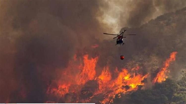 Αποτίμηση Επιπτώσεων Πυρκαγιάς στο Εθνικό Πάρκο Δάσους Δαδιάς - Λευκίμης Σουφλίου