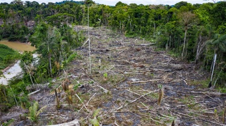 Περού: Καλλιεργητές Κόκας δολοφόνησαν Ηγέτη Αυτοχθόνων που Αντιστεκόταν στην Αποψίλωση του Αμαζονίου