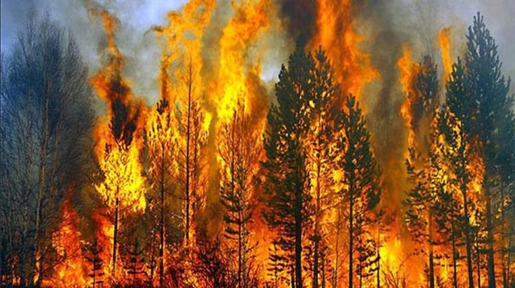 Β. Κικίλιας: Κοινή Εκπαίδευση στην Αντιμετώπιση Δασικών Πυρκαγιών για Πυροσβέστες, Δασάρχες, Αστυνομικοί, ΟΤΑ και ΔΕΔΔΗΕ