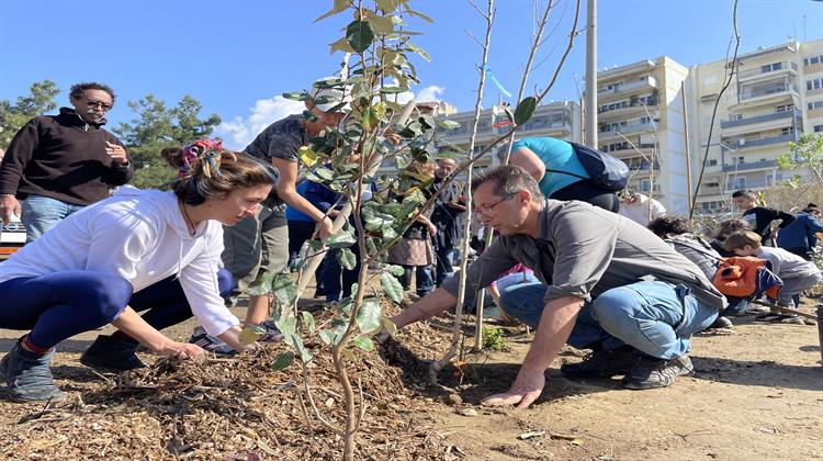 Θεσσαλονίκη: «Γεννήθηκε» το 1ο Βρώσιμο Δάσος με τη Φύτευση 700 Δέντρων και Φυτών