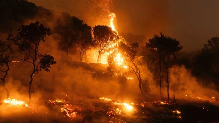 Καίγονται Ξανά τα Δάση στην Ελλάδα