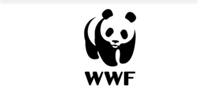 WWF, Electra Energy και Greenpeace: Κοινή Επιστολή προς το ΥΠΕΝ για Μια Αποτελεσματική Δημόσια Διαβούλευση και Ποιοτική Αναθεώρηση του ΕΣΕΚ