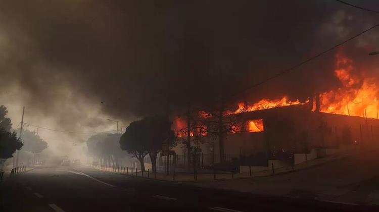 ΟΟΣΑ: Όλο και Λιγότερες οι Κρατικές Δαπάνες για Δασοπροστασία και Δασοπυρόσβεση στην Ελλάδα – Προκηρύξεις σε Δασαρχεία Μέσα στον ...Αύγουστο