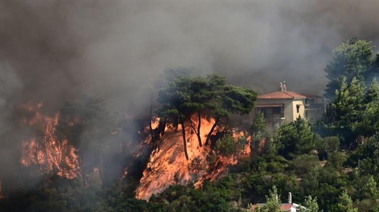 Greece Tackles Last of Wildfire Near Athens, Assesses Damage