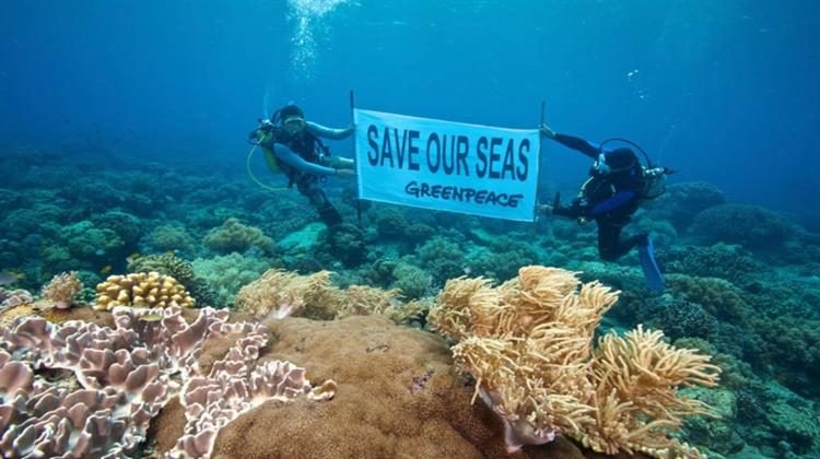 Greenpeace: Απροστάτευτοι οι πυρήνες θαλάσσιας βιοποικιλότητας της Ελλάδας!