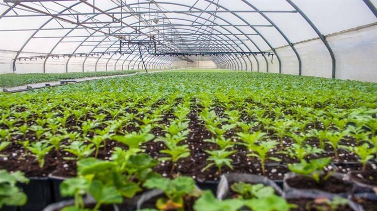 Θερμοκήπια SmartGreenhouses: Το Μέλλον της Ελληνικής Γεωργίας