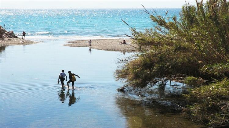 Δήμος Αγίου Δημητρίου: Σχέδιο για την Προστασία και Ανάδειξη του Ρέματος της Πικροδάφνης