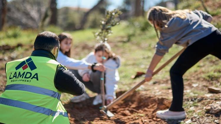 Πεντέλη: Η LAMDA Development Συμβάλλει Ενεργά στην Αποκατάσταση και την Αναβάθμιση του Φυσικού Περιβάλλοντος Από τις Καταστροφικές Πυρκαγιές του 2024