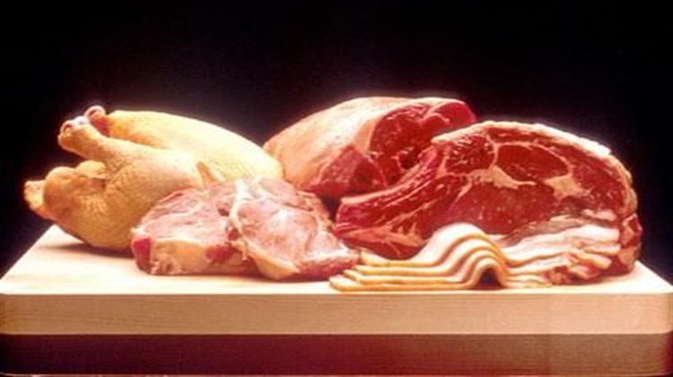 «Πράσινο» Τεχνητό Κρέας Παραγωγής Εργαστηρίου