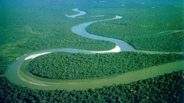 390 Δισεκατομμύρια Δέντρα Από 16.000 Διαφορετικά Είδη Έχει ο Αμαζόνιος
