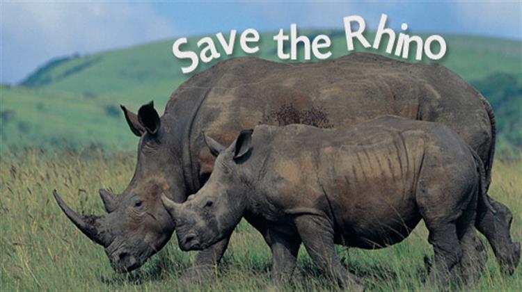 More Than 120 Rhino Poached in South Africa - According to CITES 1.215 Rhinos Were poached in South Africa Alone in 2014