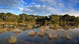 22% των Θαλασσών Κηρύσσεται Natura