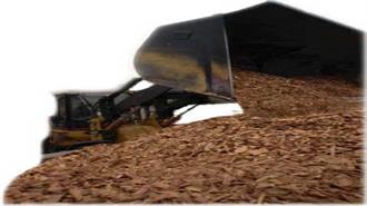 EU Rules Out Binding Green Criteria for Biomass