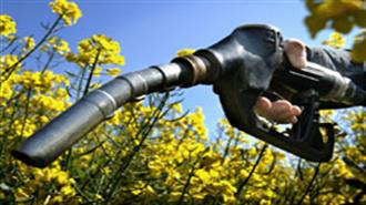European Parliament Votes to Cap Biofuels in Transport Fuel Mix at 6%