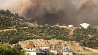 Προς Πώληση είναι την Τελευταία Δεκαετία η Καμμένη  Έκταση στην Σιθωνία