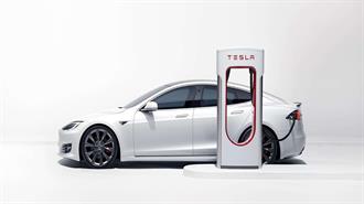 Η Tesla Μετακομίζει τις Μυρμηγκοφωλιές Από το Οικόπεδο Όπου θα Χτίσει το Νέο Εργοστάσιό της στη Γερμανία