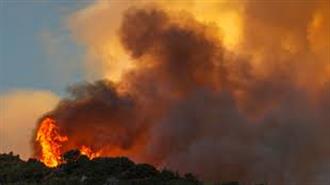Μεγάλες Πυρκαγιές και Πρωτοφανής Καύσωνας Πλήττουν την Καλιφόρνια